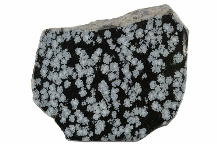 Polished Snowflake Obsidian Section - Utah #117759